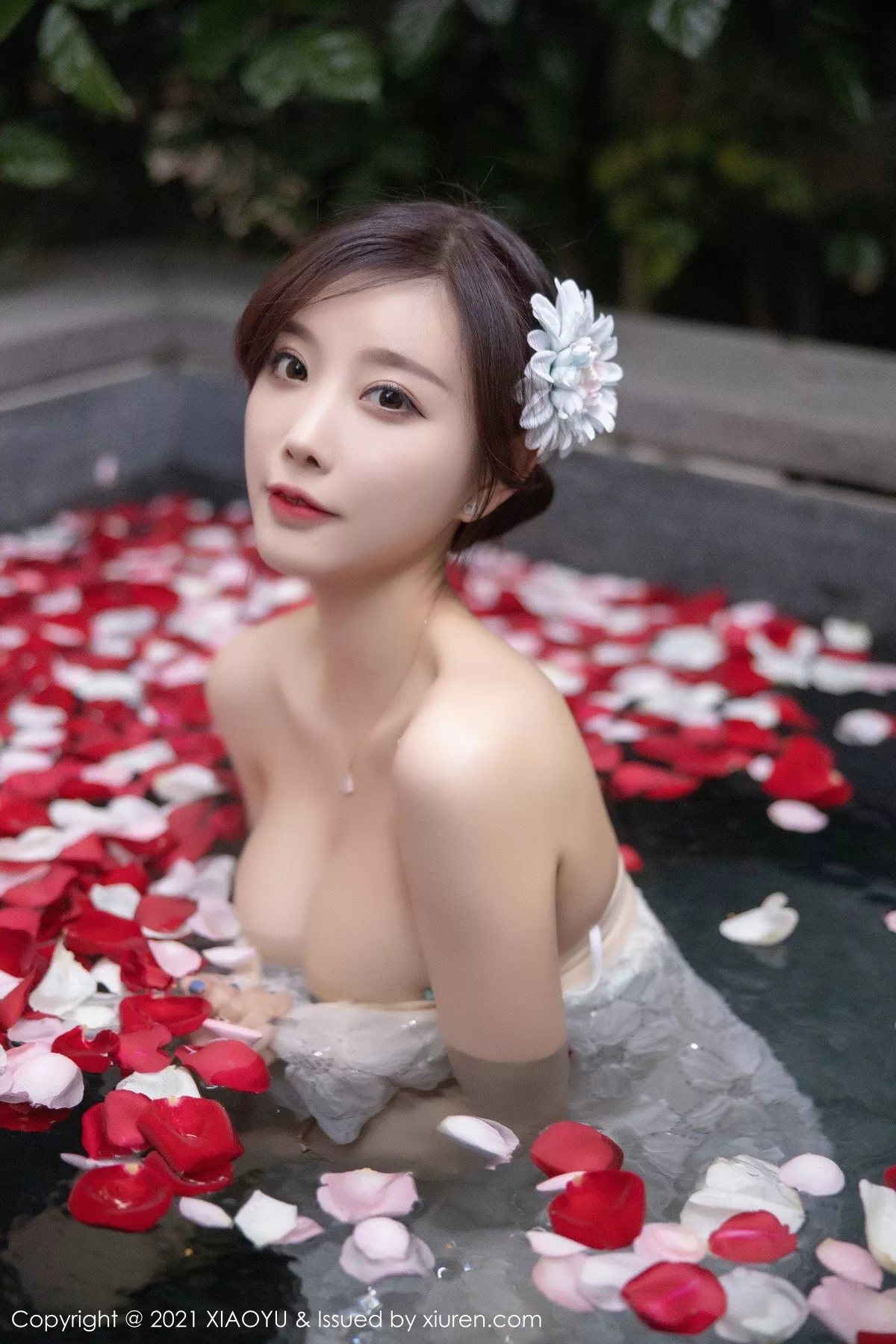 杨晨晨写真