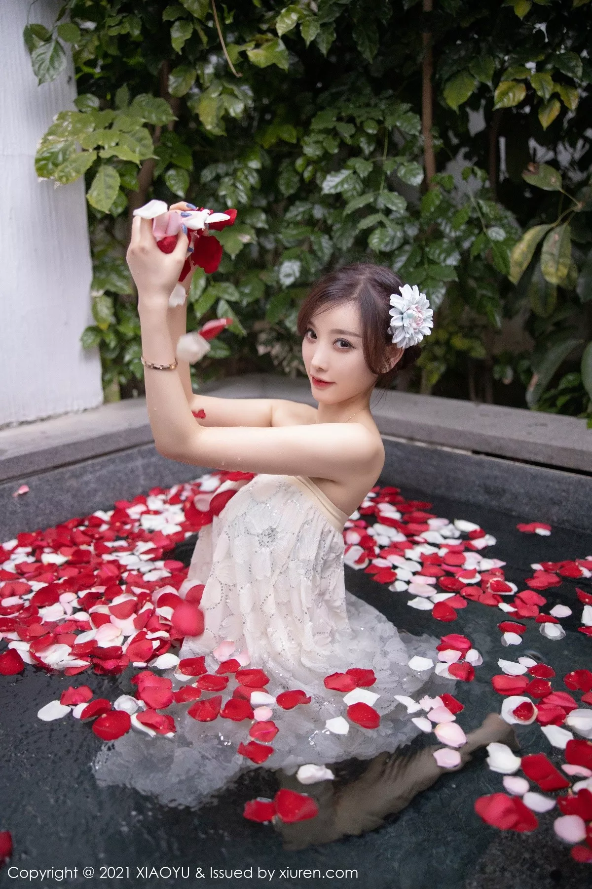 杨晨晨写真