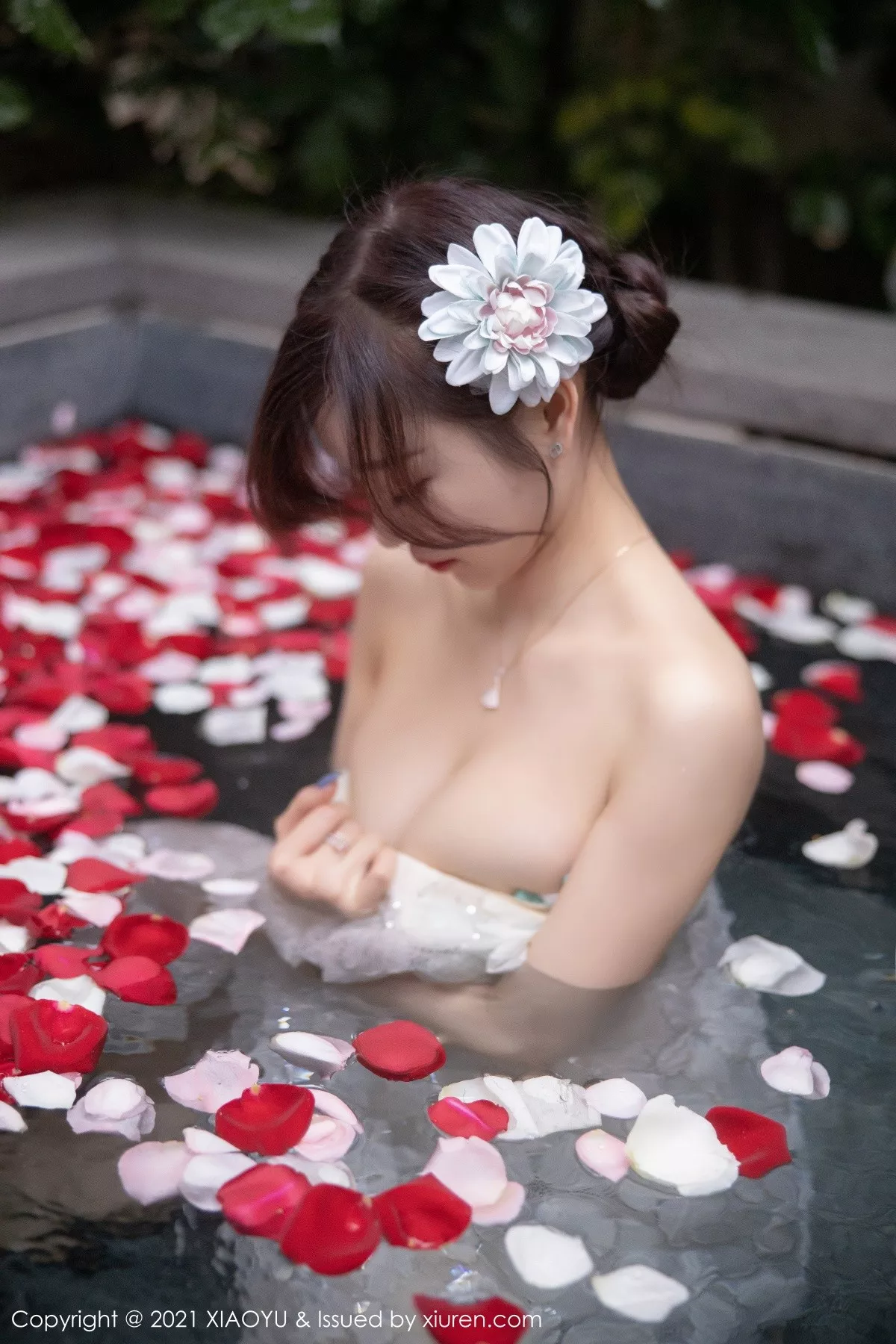 杨晨晨写真