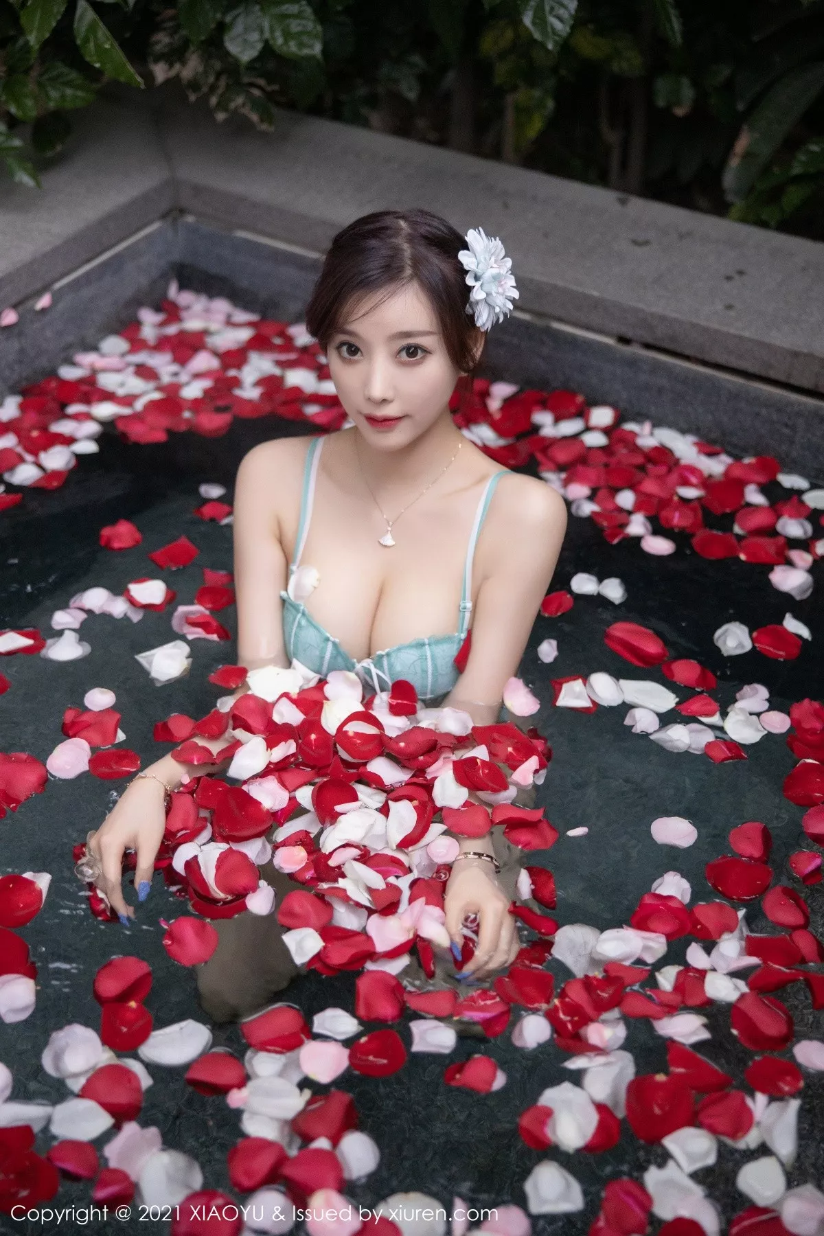 杨晨晨写真