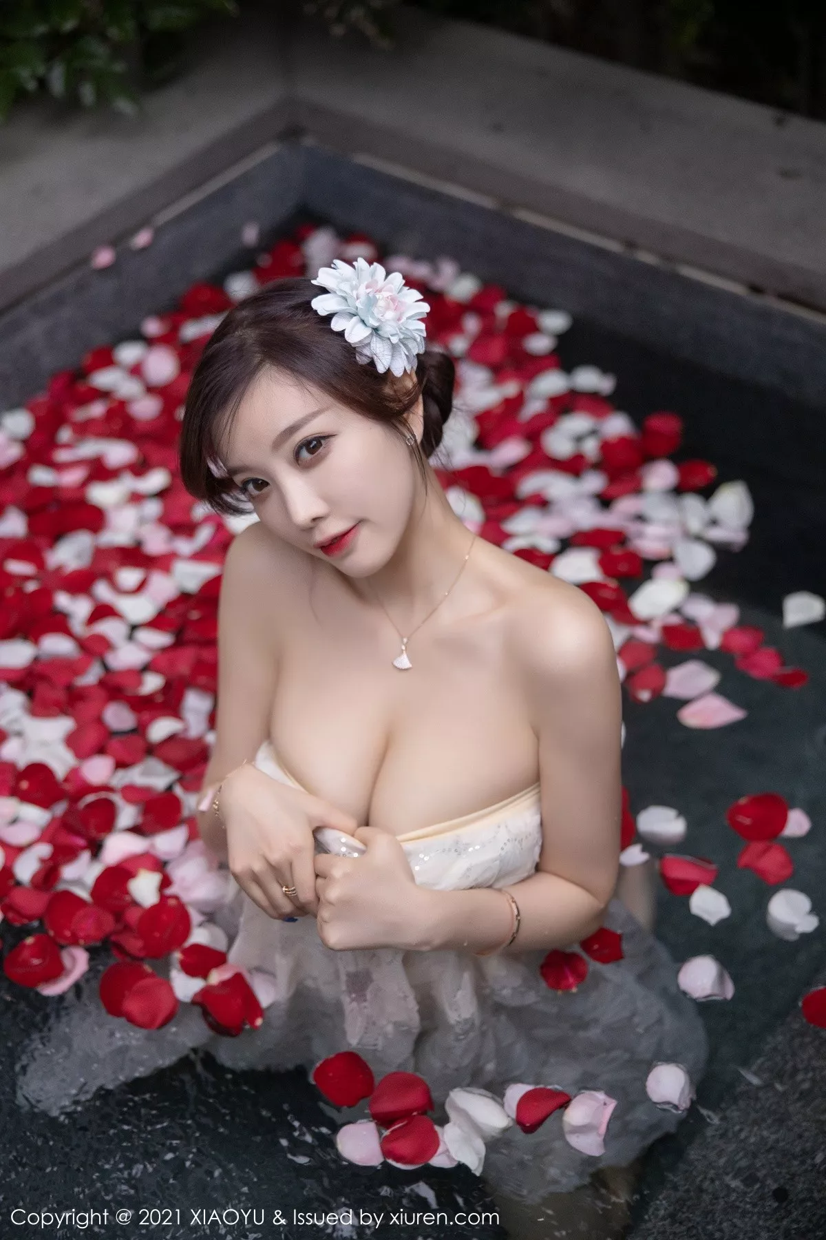 杨晨晨写真