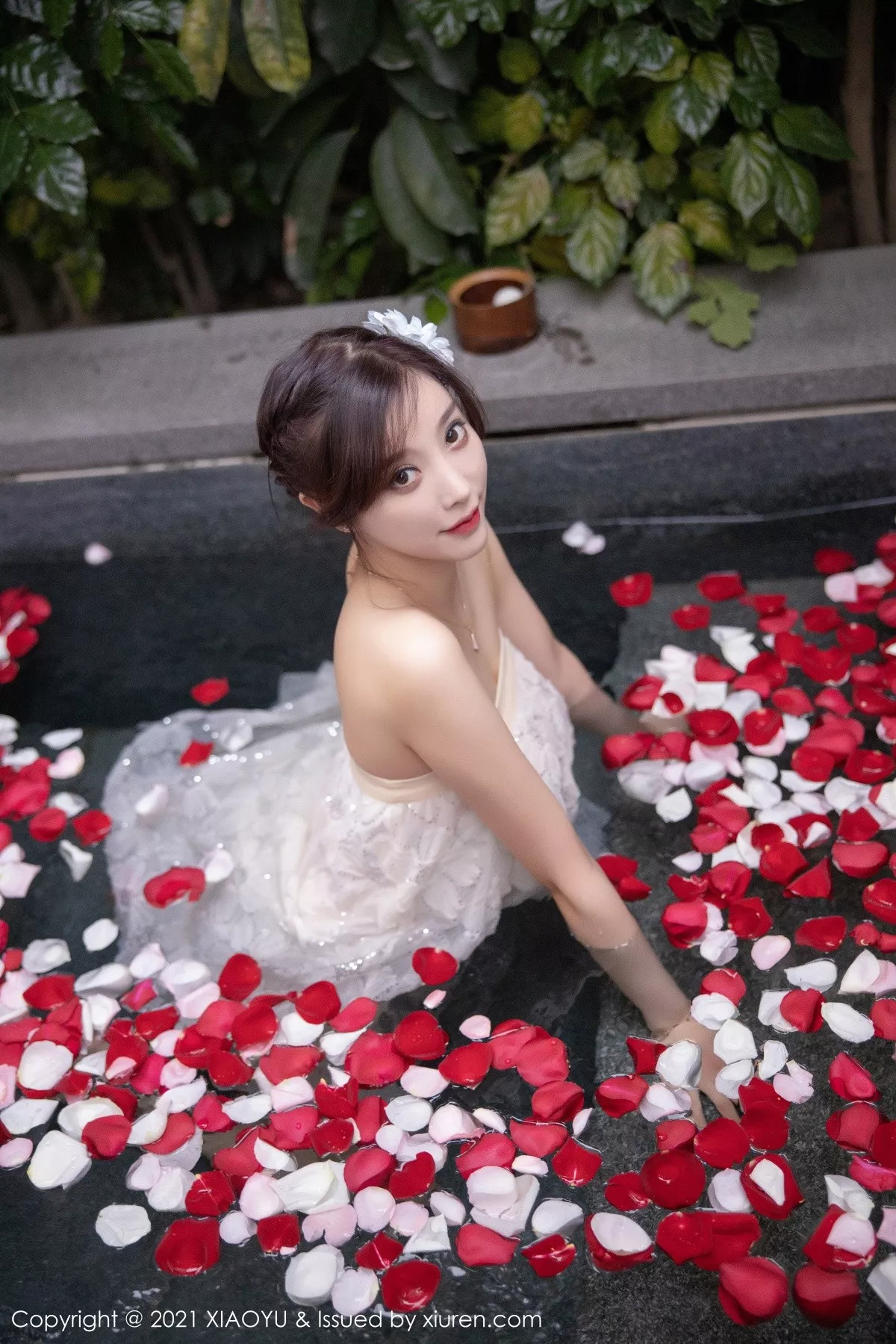 杨晨晨写真