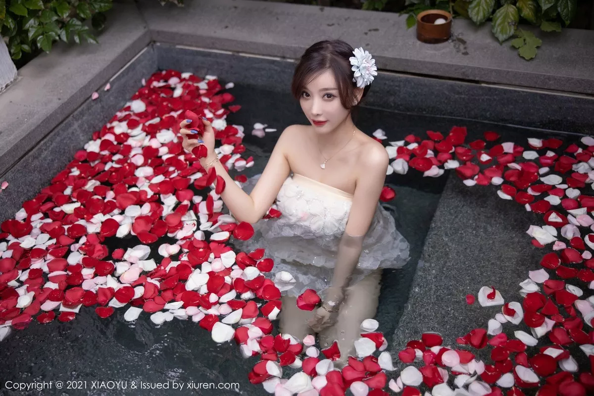 杨晨晨写真