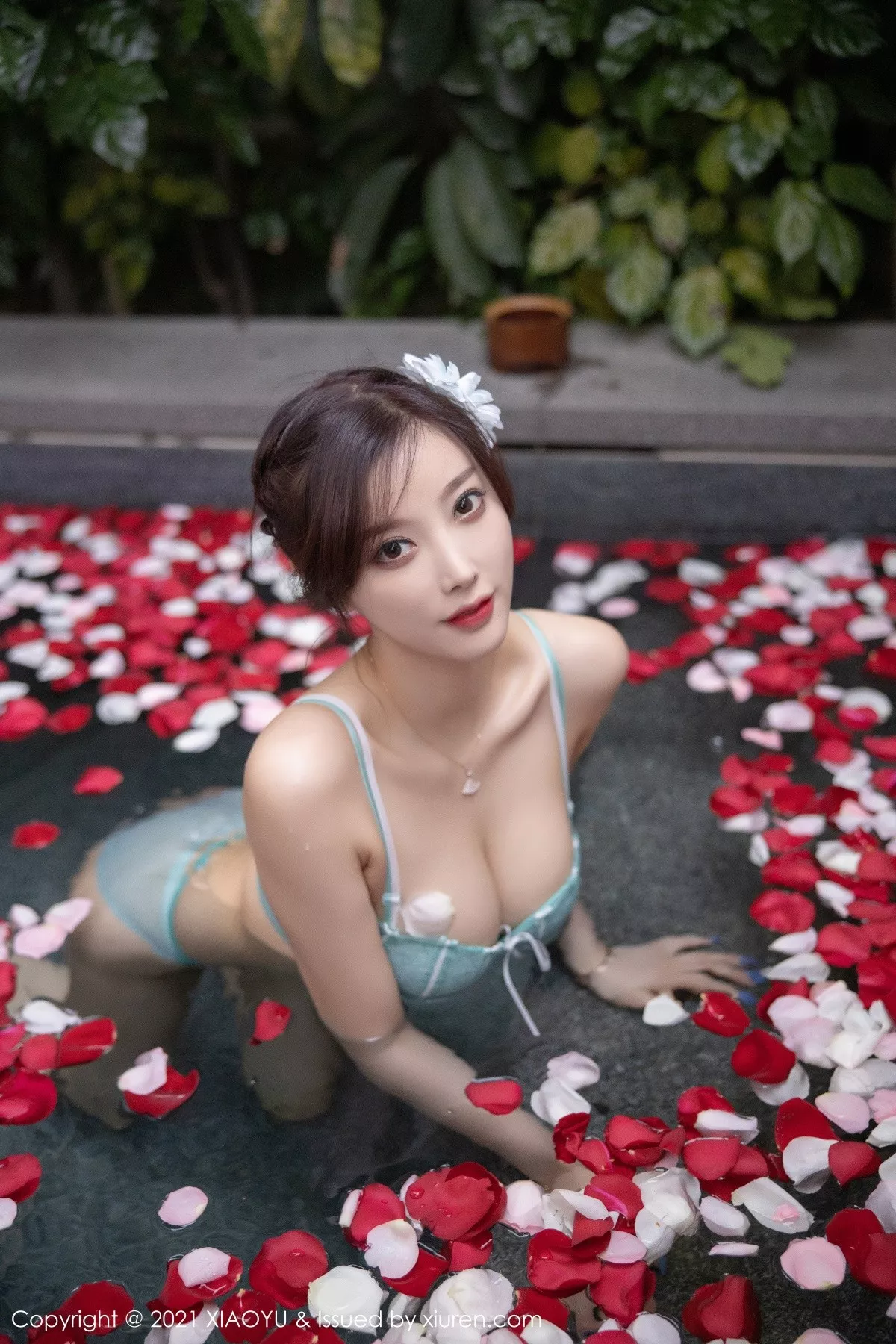 杨晨晨写真