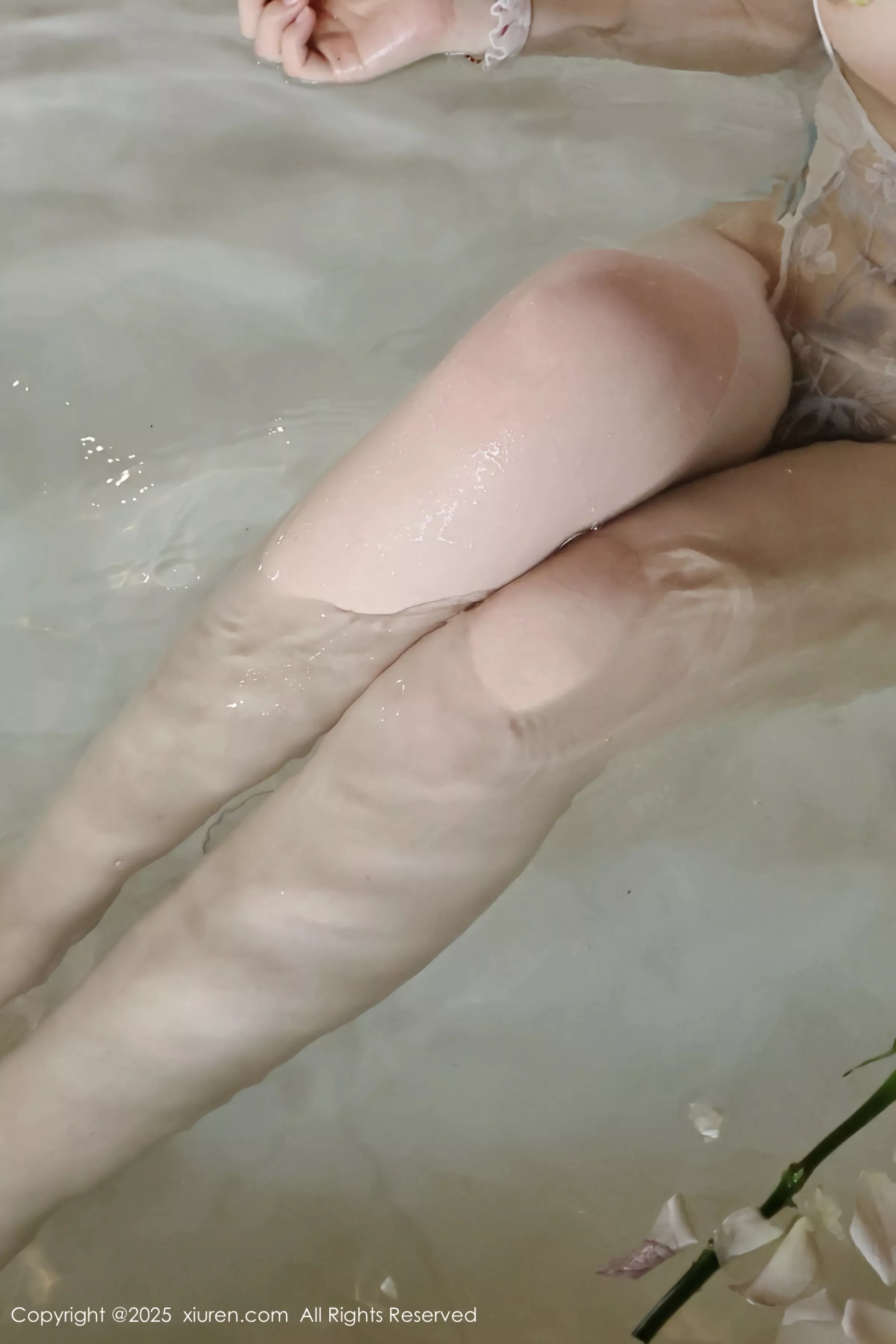 小芭乐写真