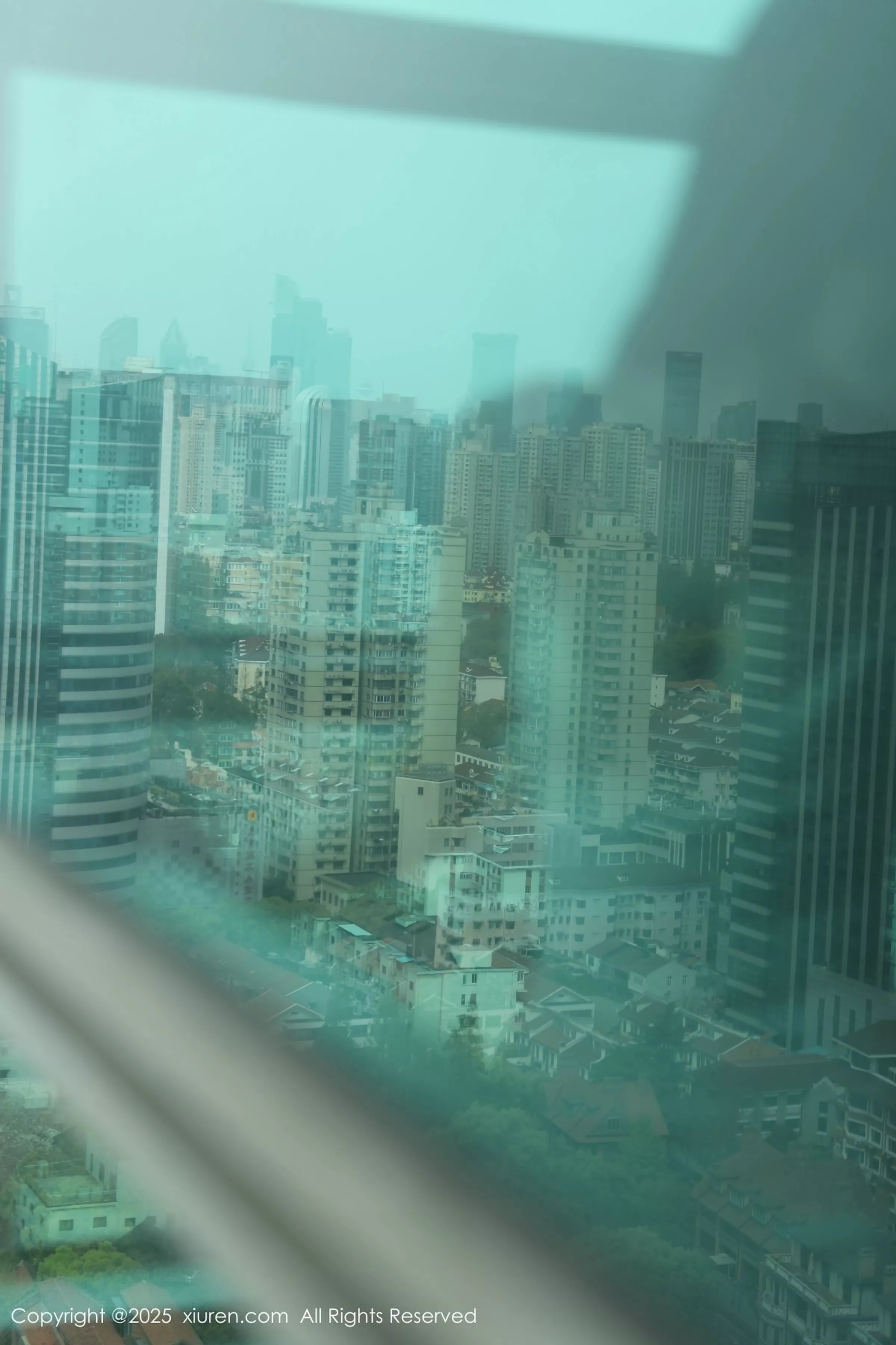 布丁写真