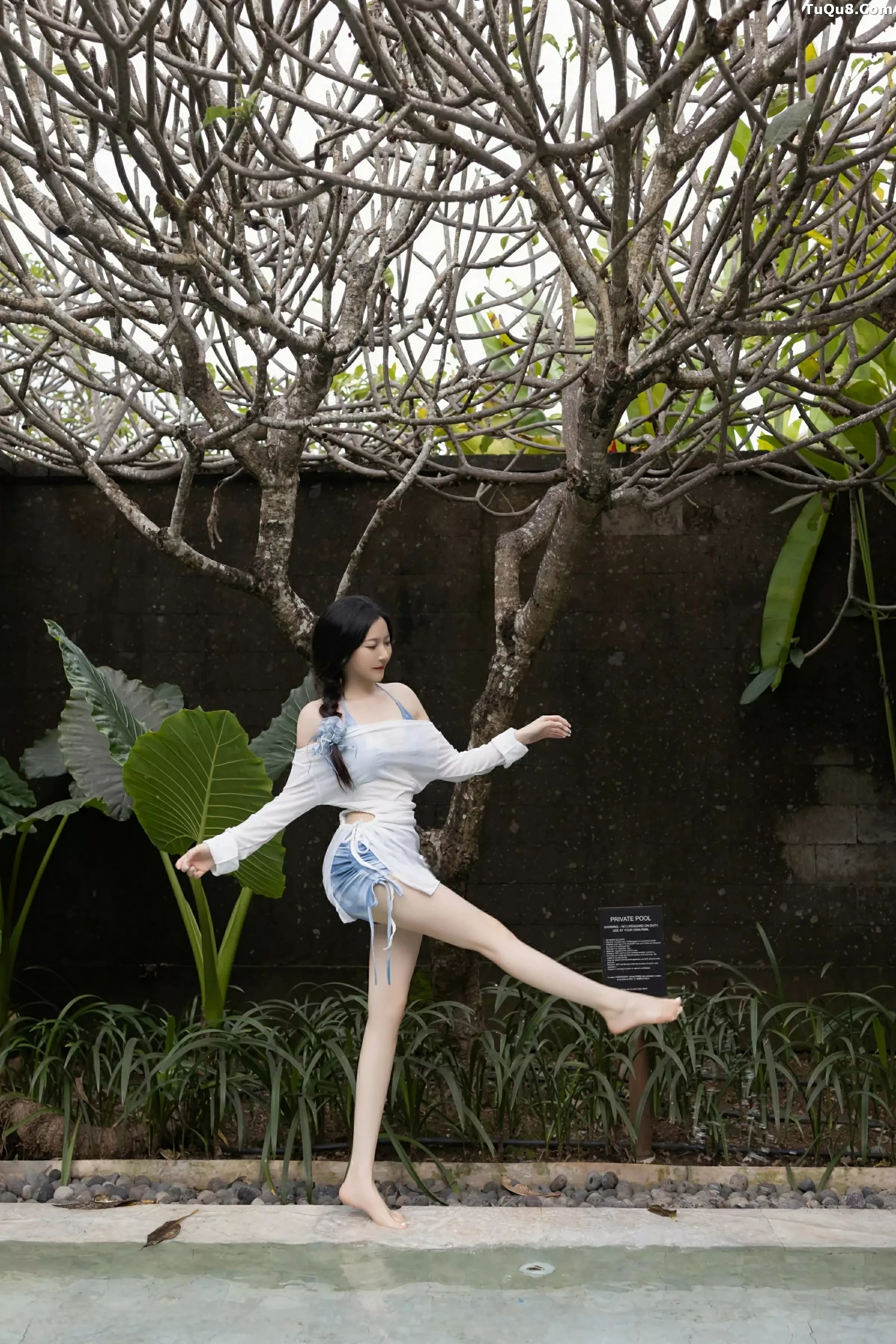 鱼子酱写真