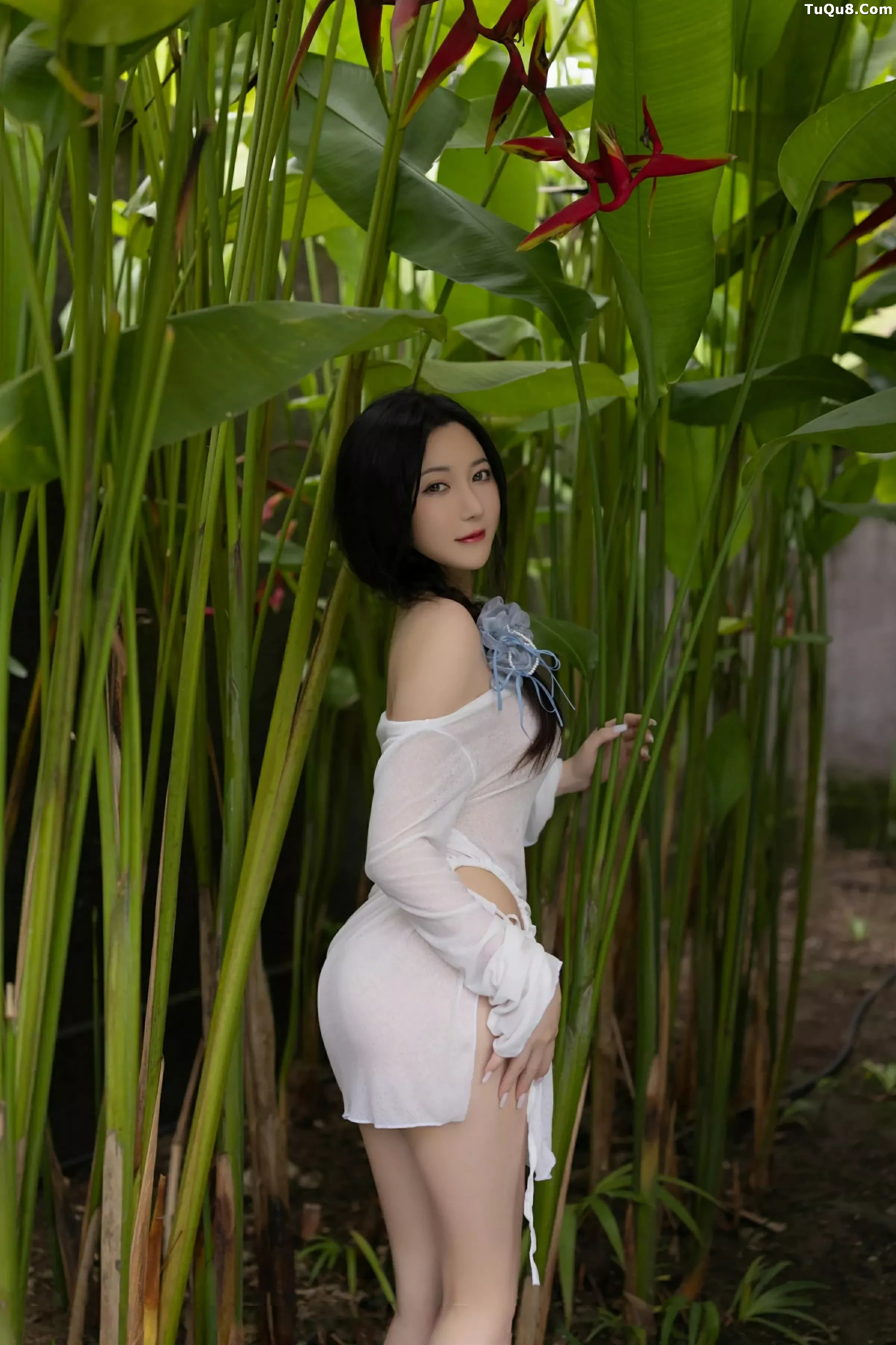 鱼子酱写真